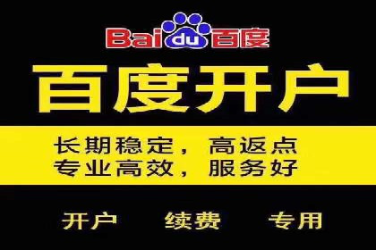 sem百度竞价实战：成功案例解析